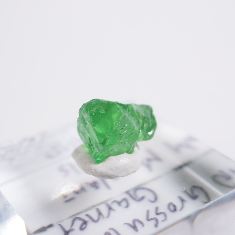 ����˥ҥ륺�� ��������顼�����ͥå�