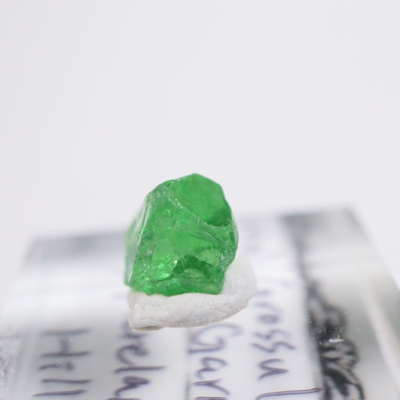 ����˥ҥ륺�� ��������顼�����ͥå�