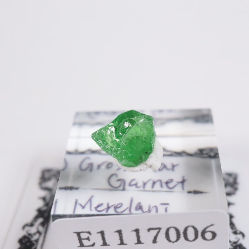 ����˥ҥ륺�� ��������顼�����ͥå�