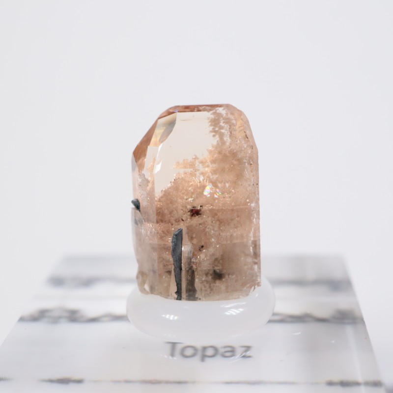 �楿�������ȥѡ���