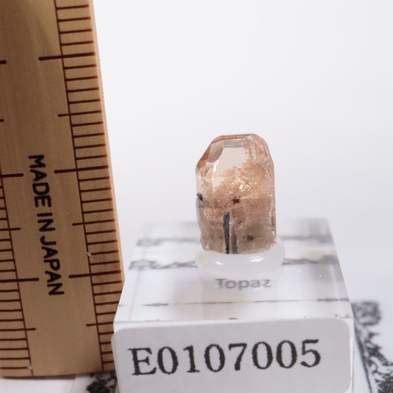 �楿�������ȥѡ���