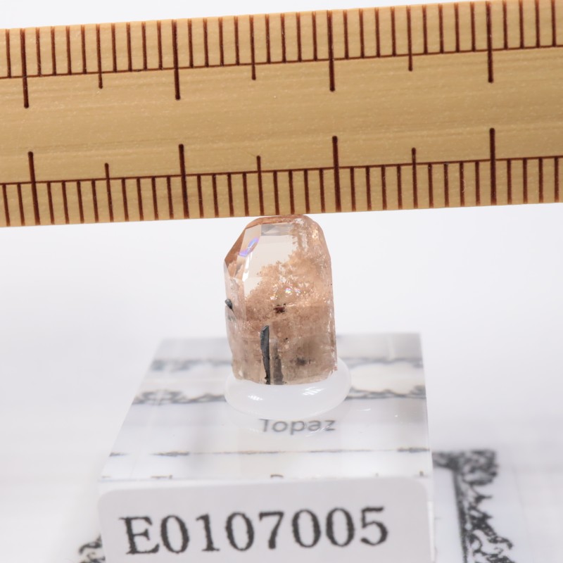 �楿�������ȥѡ���