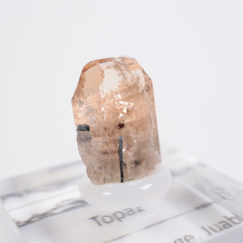 �楿�������ȥѡ���