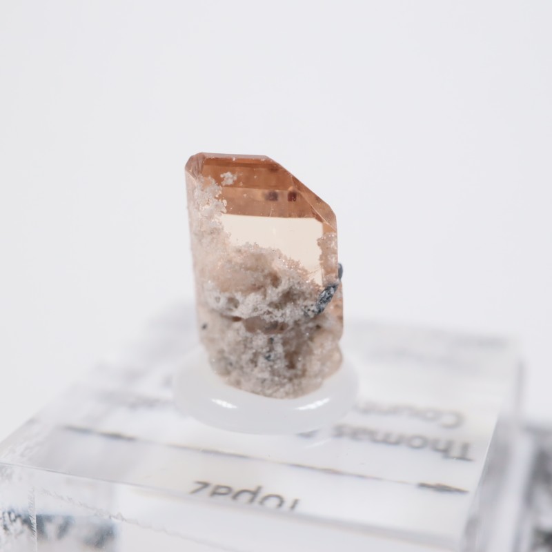 �楿�������ȥѡ���