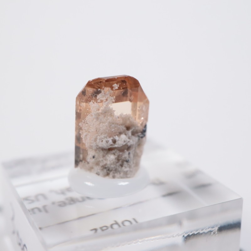 �楿�������ȥѡ���