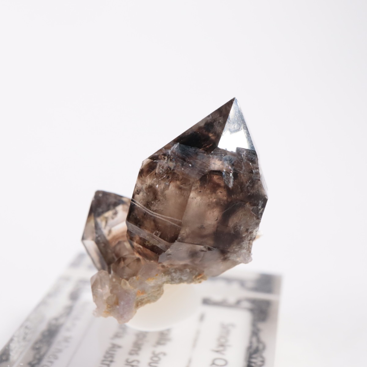 �������ȥ�ꥢ�� ����徽