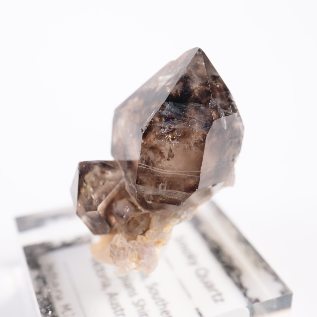 �������ȥ�ꥢ�� ����徽