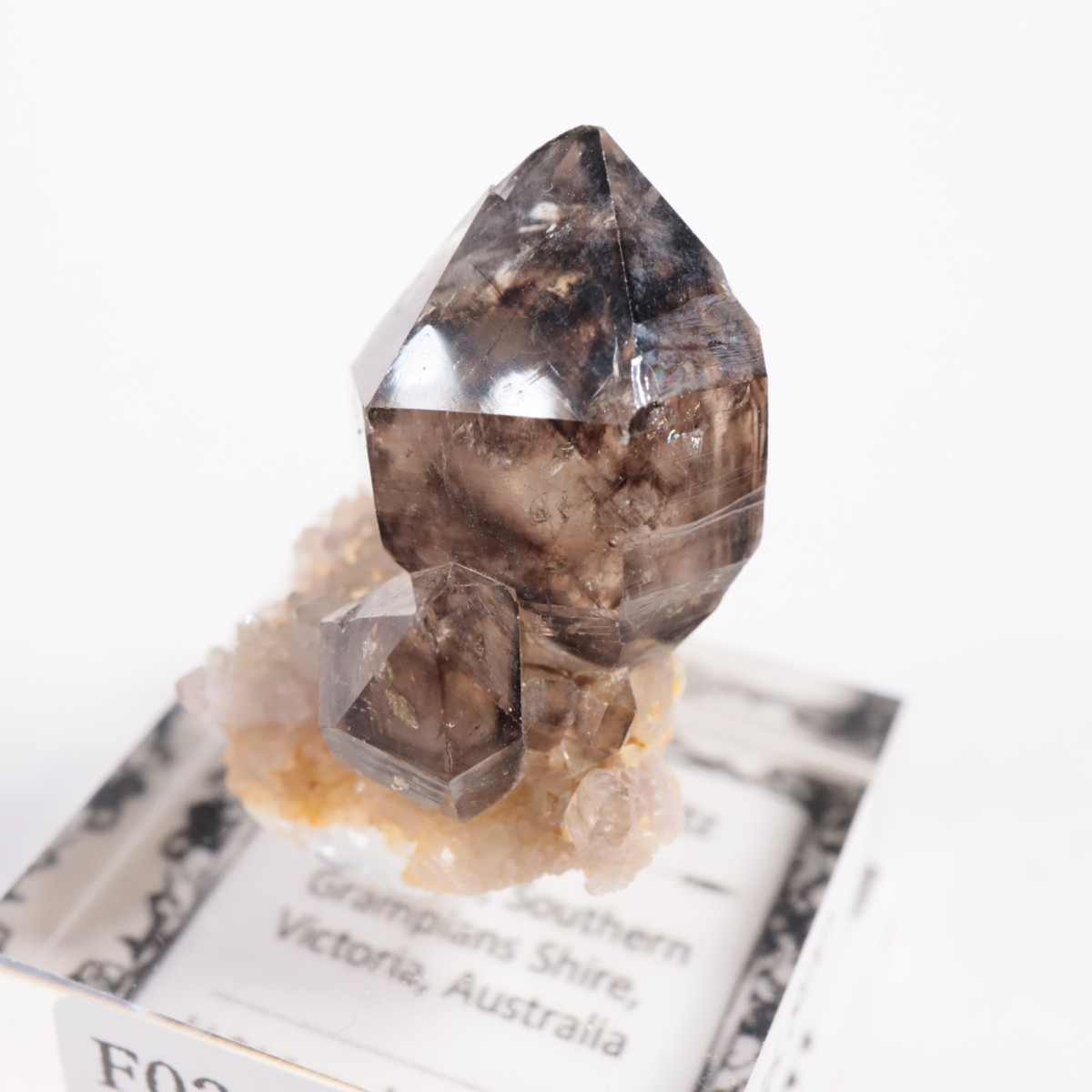 �������ȥ�ꥢ�� ����徽