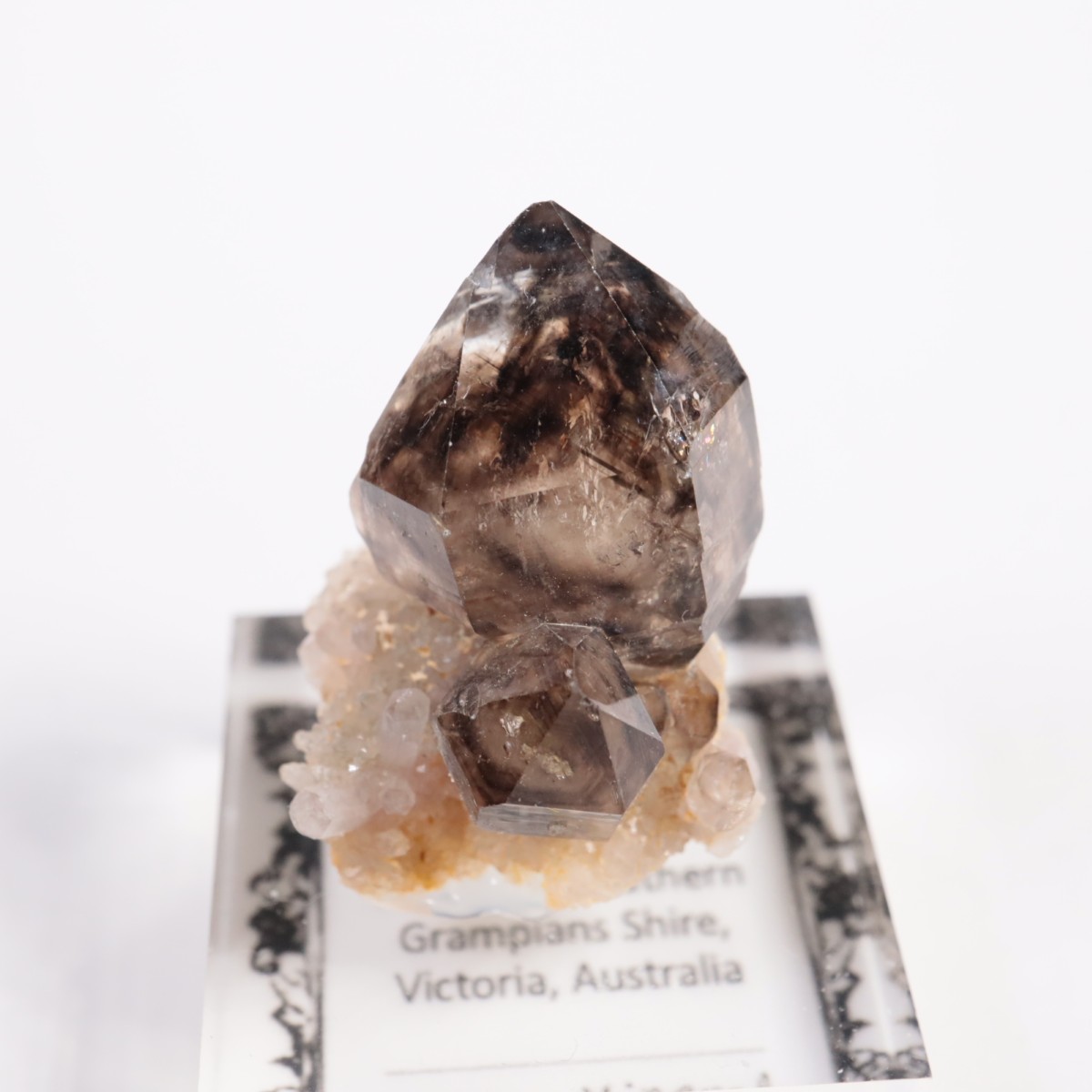 �������ȥ�ꥢ�� ����徽