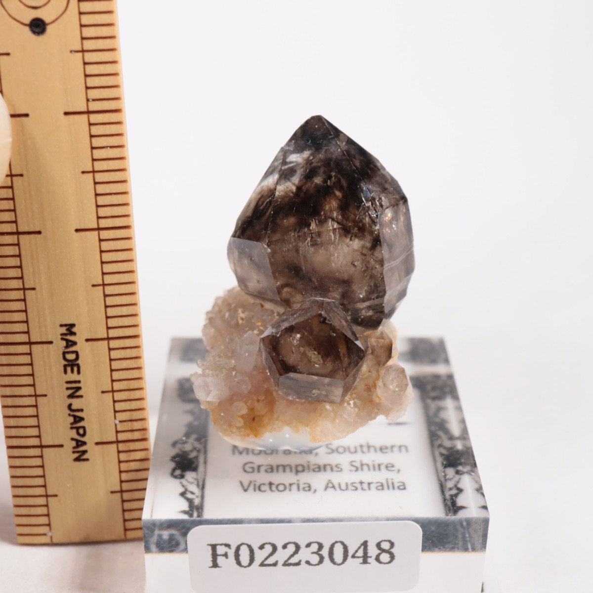 �������ȥ�ꥢ�� ����徽