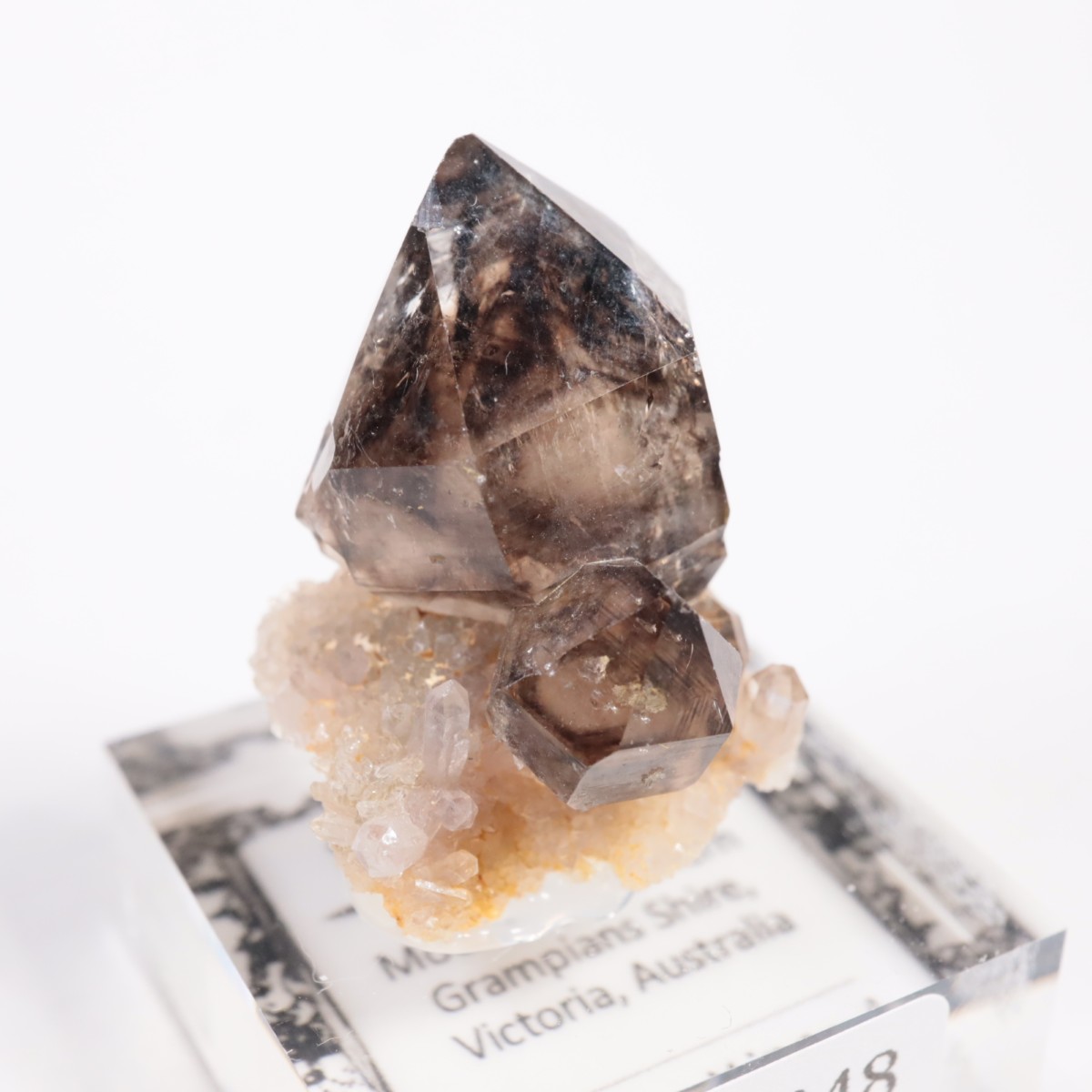 �������ȥ�ꥢ�� ����徽