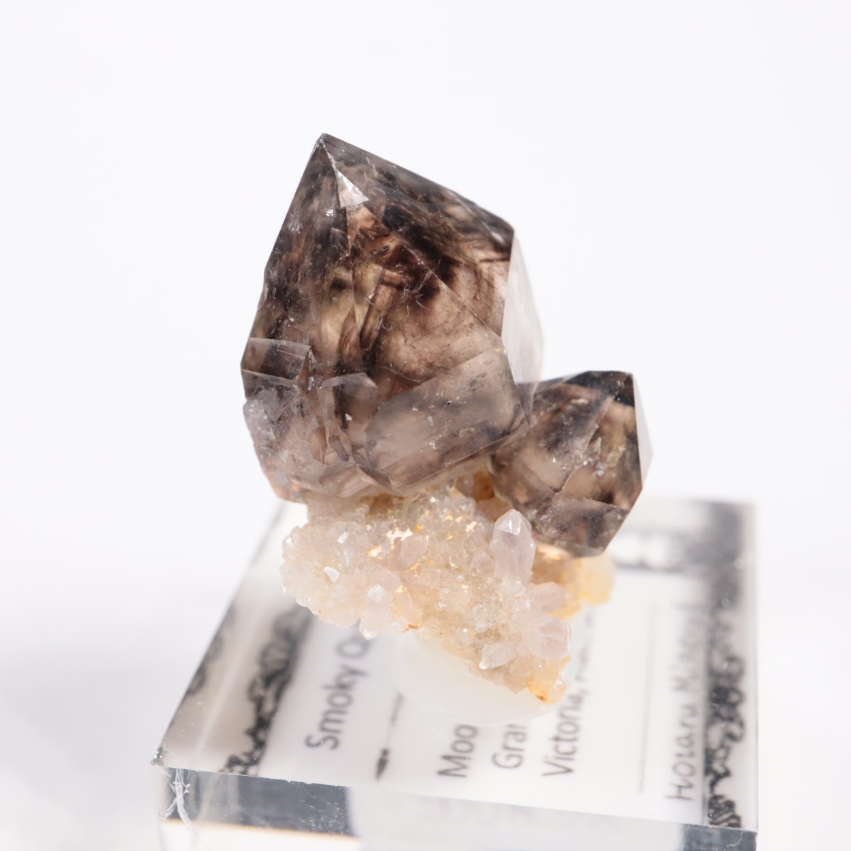 �������ȥ�ꥢ�� ����徽