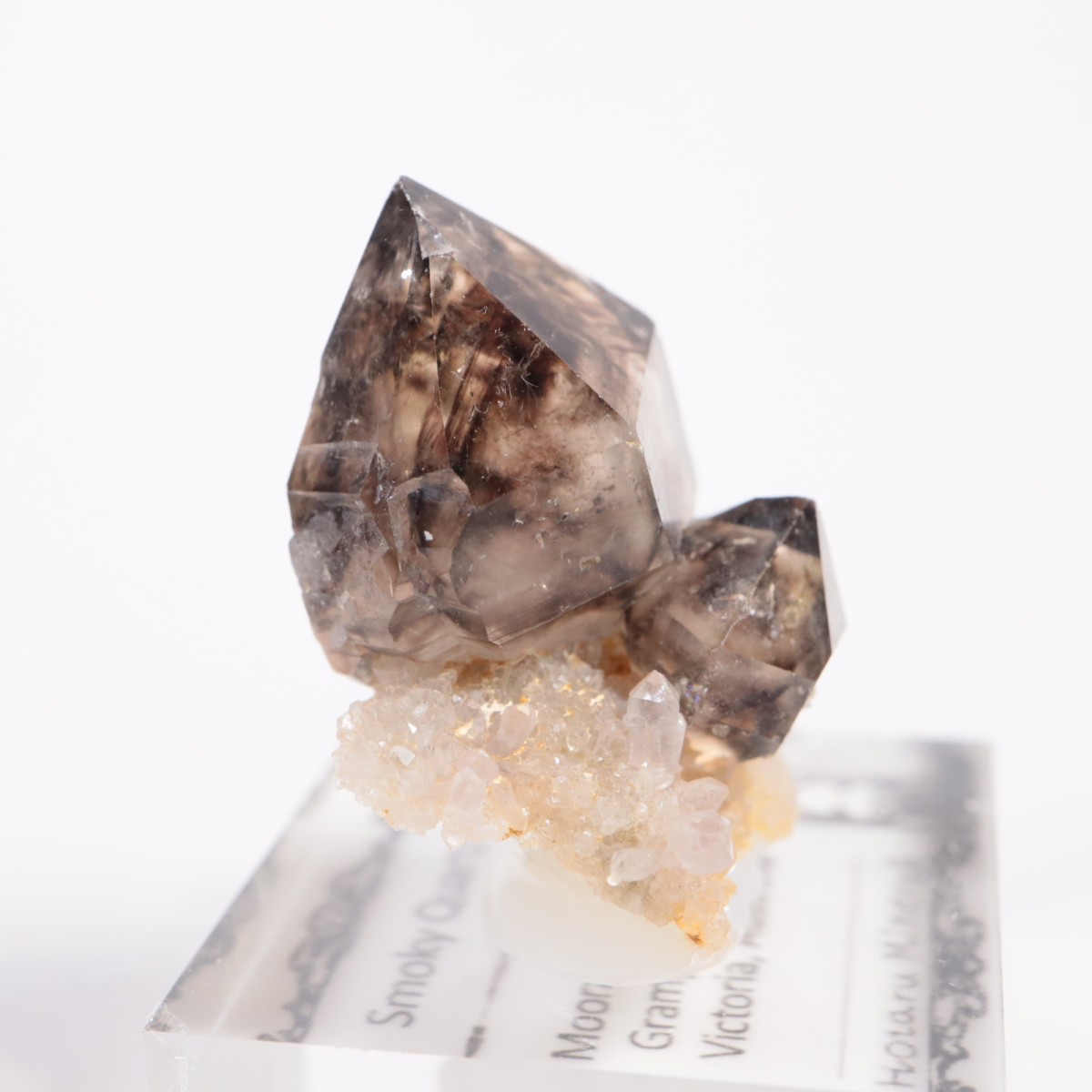 �������ȥ�ꥢ�� ����徽