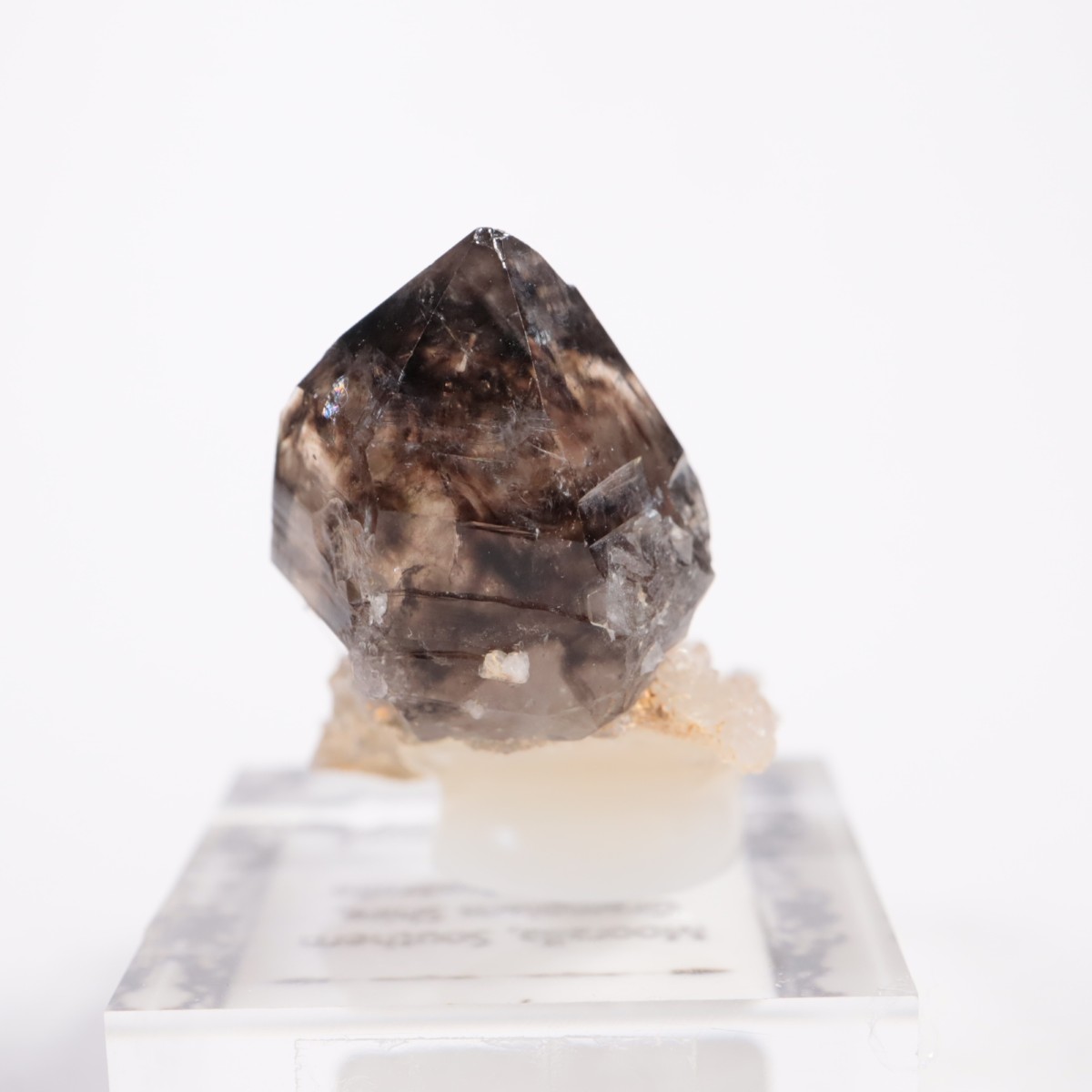 �������ȥ�ꥢ�� ����徽