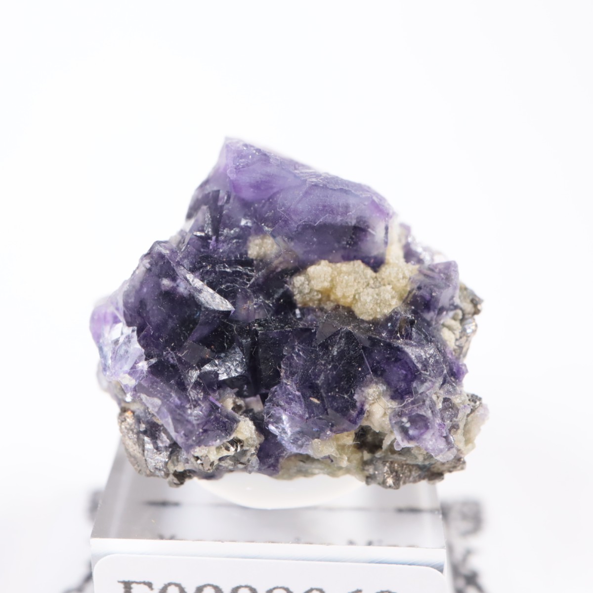 �䥪���󥷥��ۻ� �ե����饤��