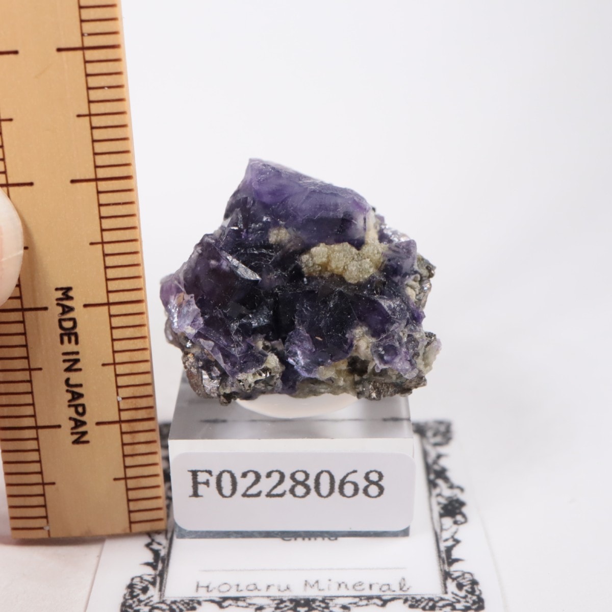 �䥪���󥷥��ۻ� �ե����饤��