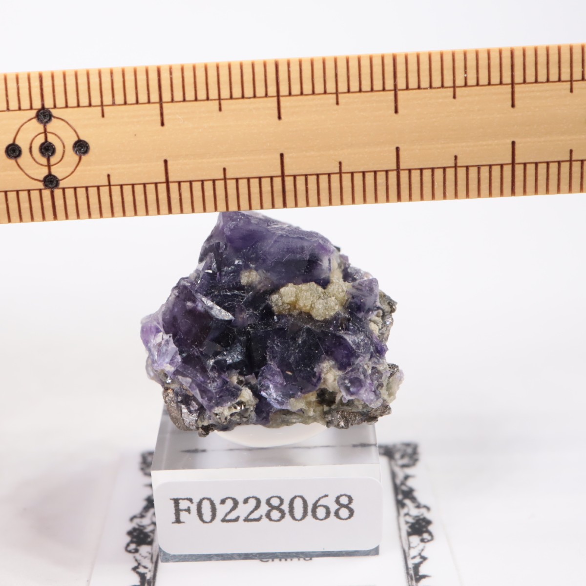 �䥪���󥷥��ۻ� �ե����饤��