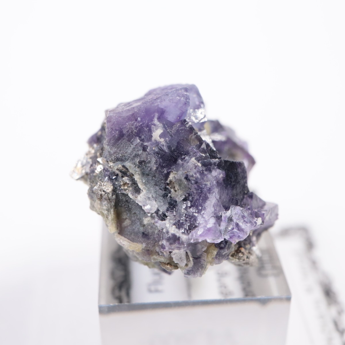 �䥪���󥷥��ۻ� �ե����饤��