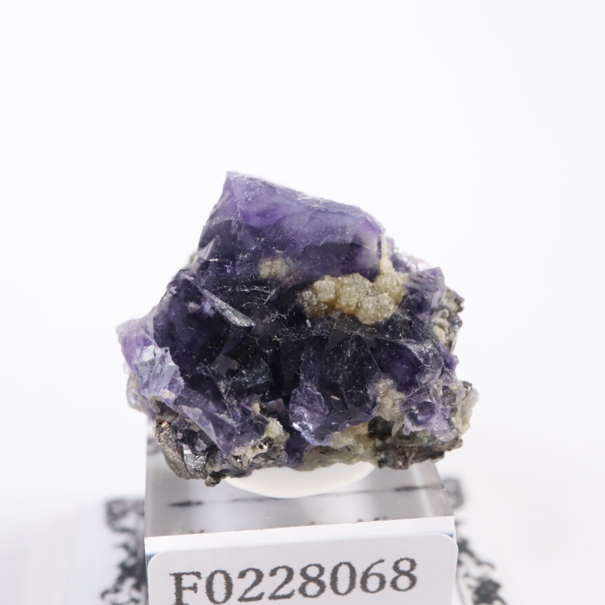 �䥪���󥷥��ۻ� �ե����饤��