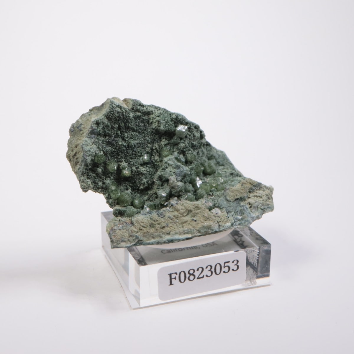 ����ե���˥��� ����ɥ�����ȥ����ͥå�