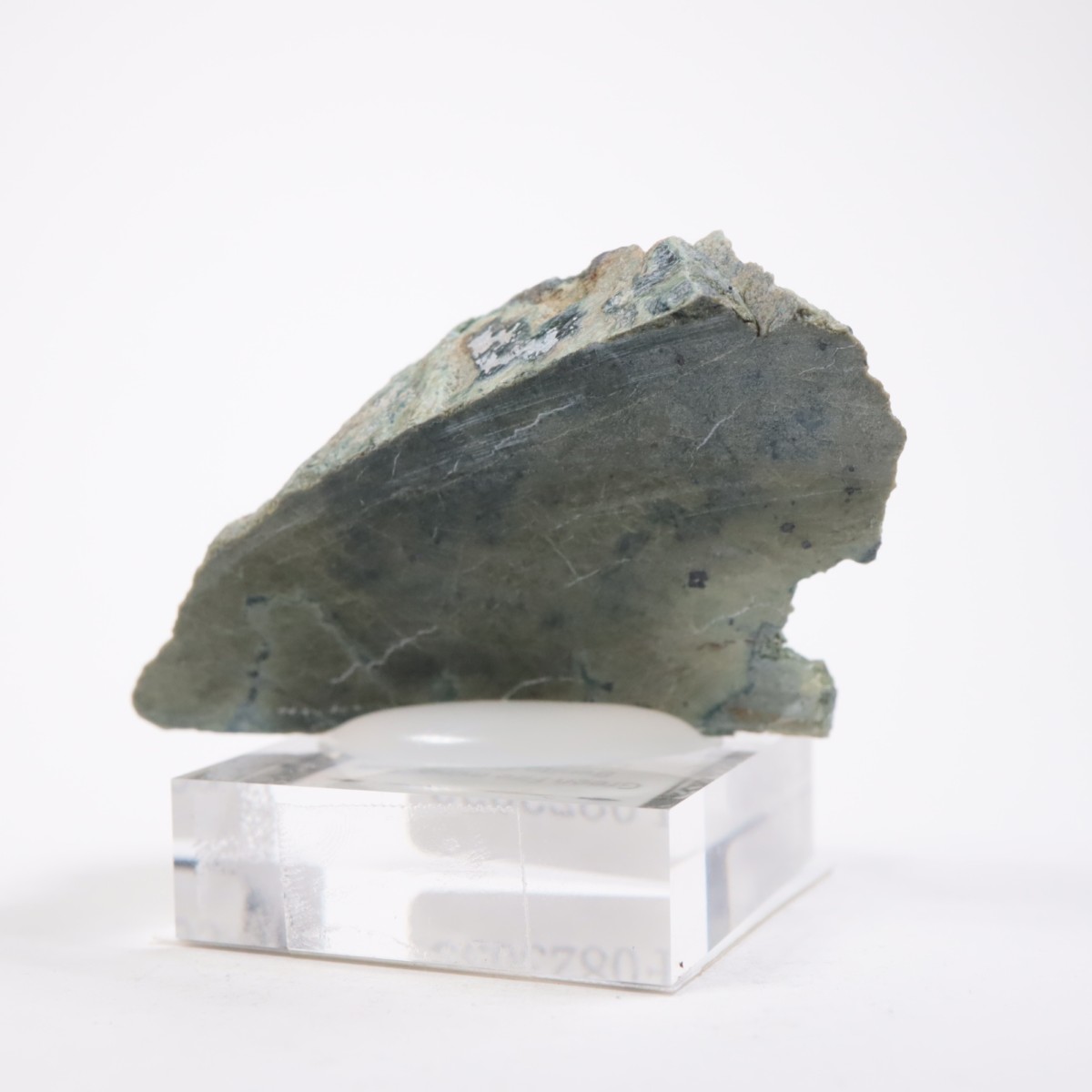 ����ե���˥��� ����ɥ�����ȥ����ͥå�