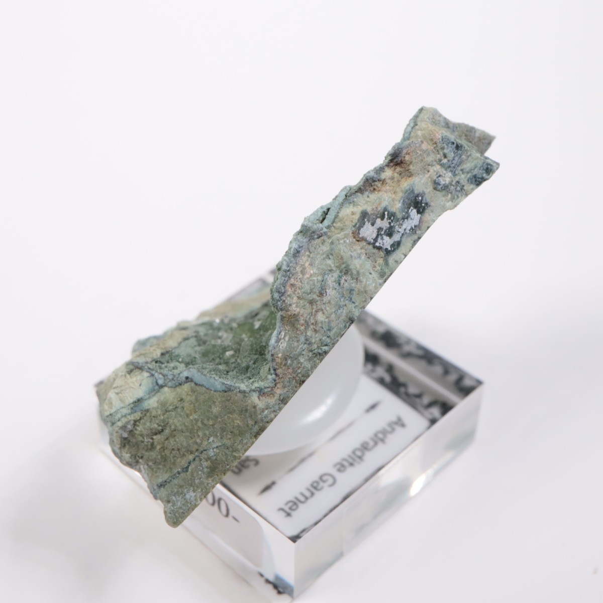 ����ե���˥��� ����ɥ�����ȥ����ͥå�