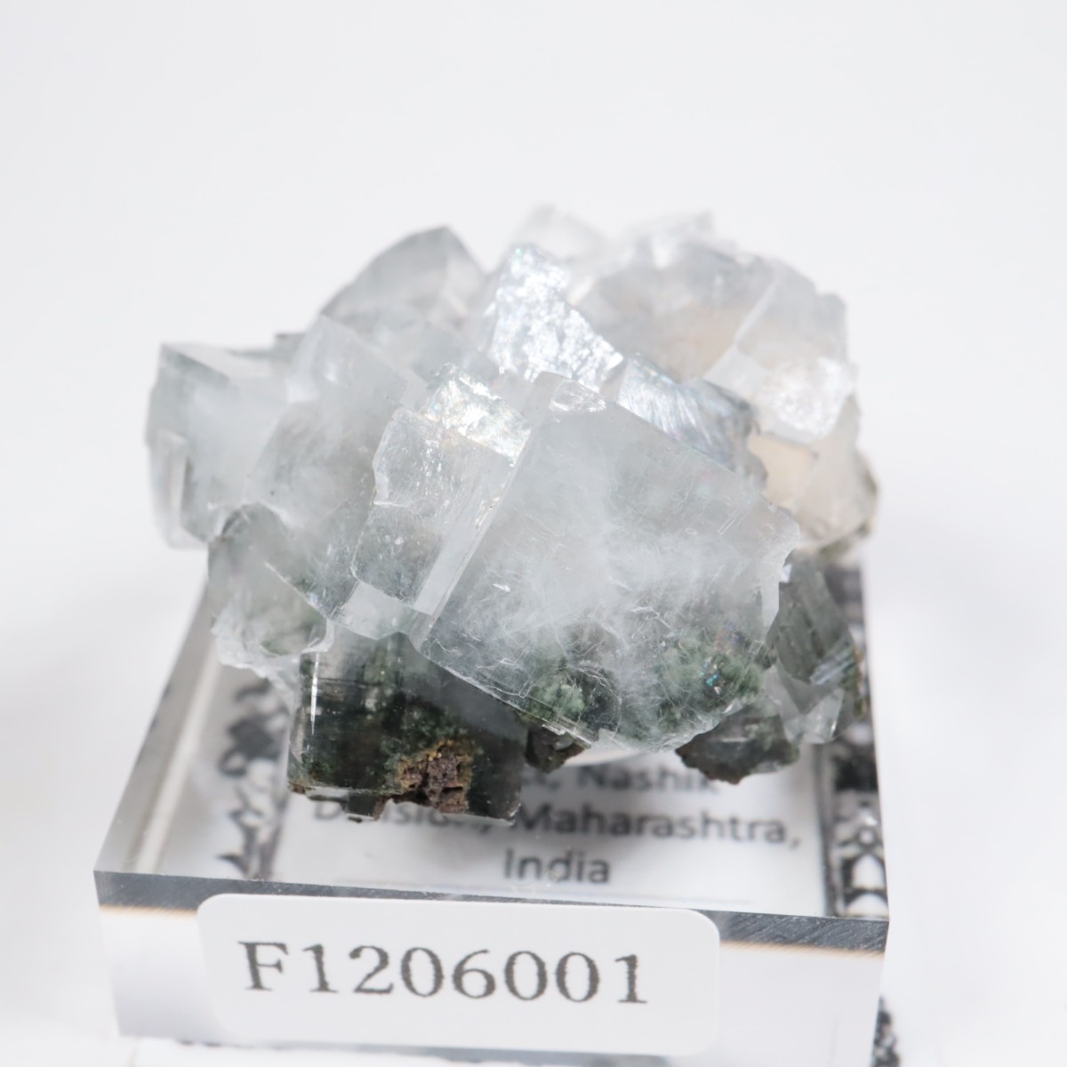 ����ɻ� ���ݥե��饤��