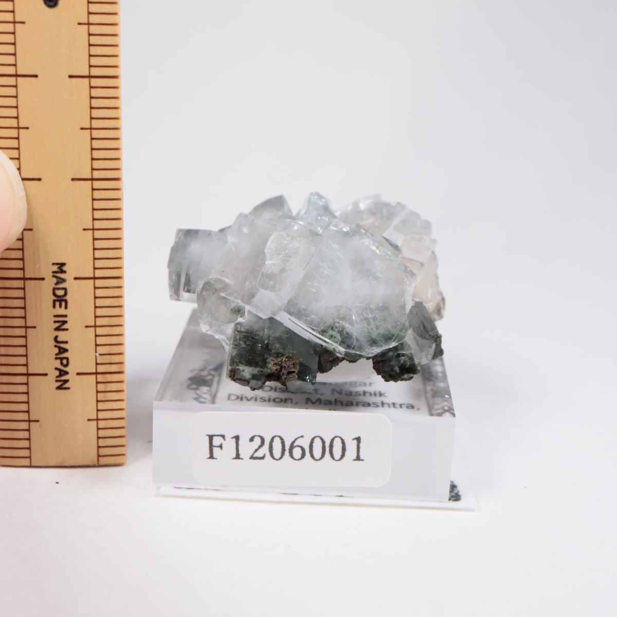 ����ɻ� ���ݥե��饤��