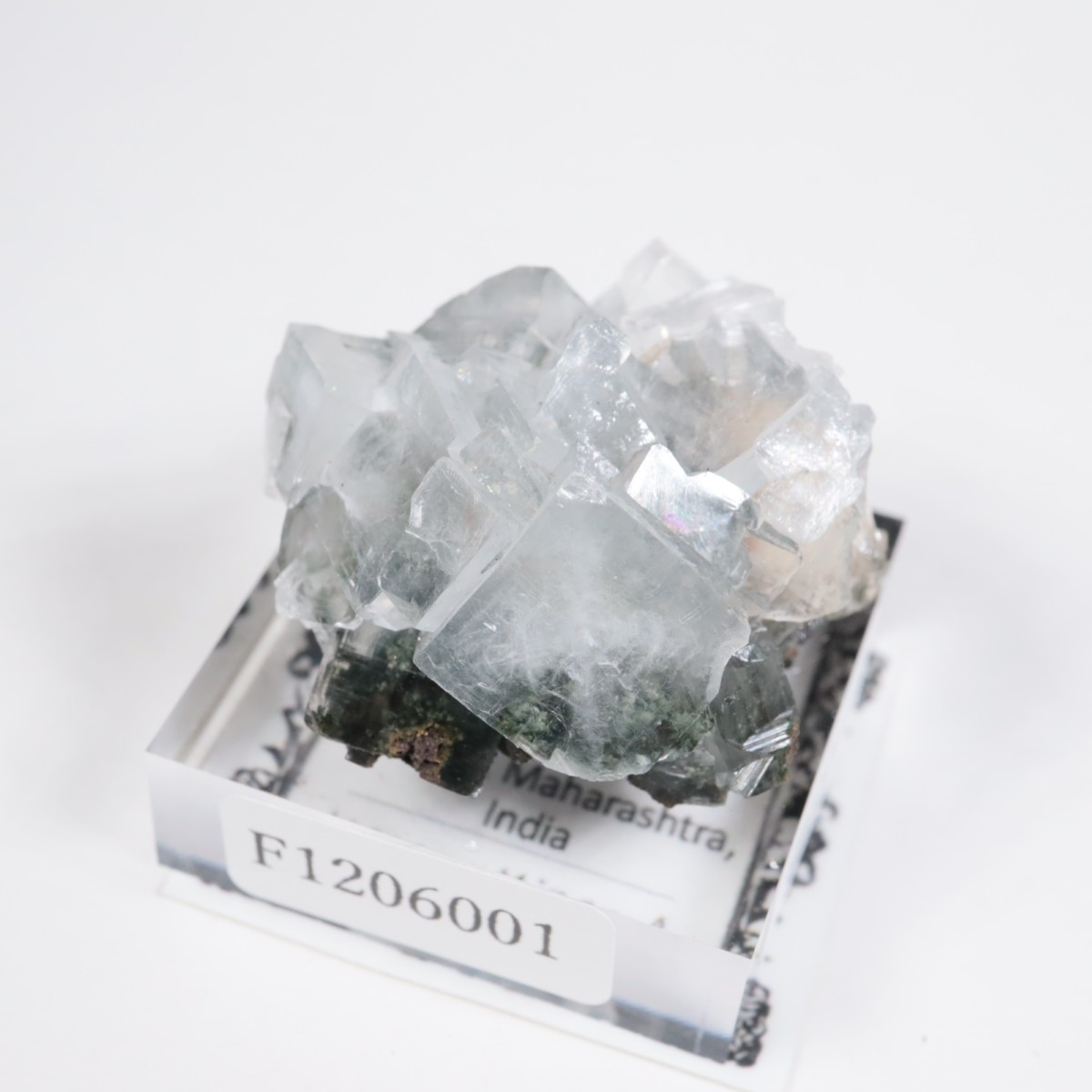 ����ɻ� ���ݥե��饤��