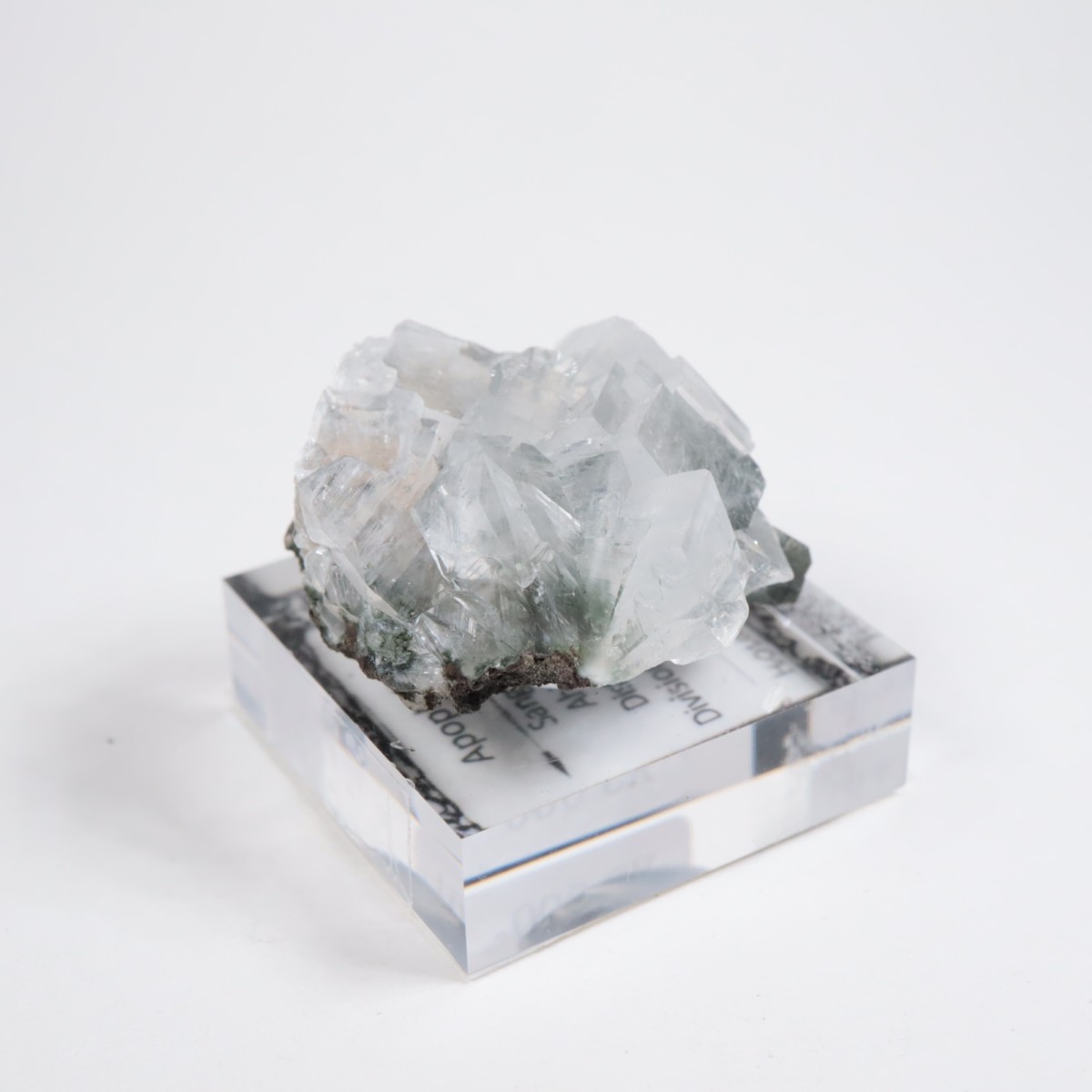 ����ɻ� ���ݥե��饤��