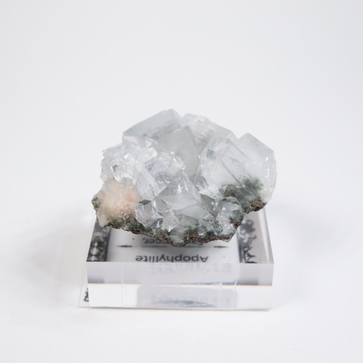 ����ɻ� ���ݥե��饤��