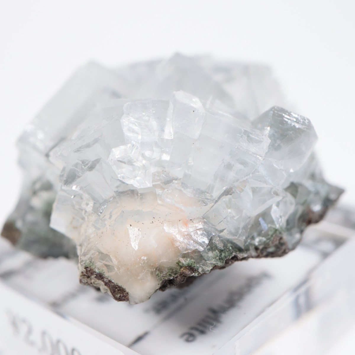 ����ɻ� ���ݥե��饤��