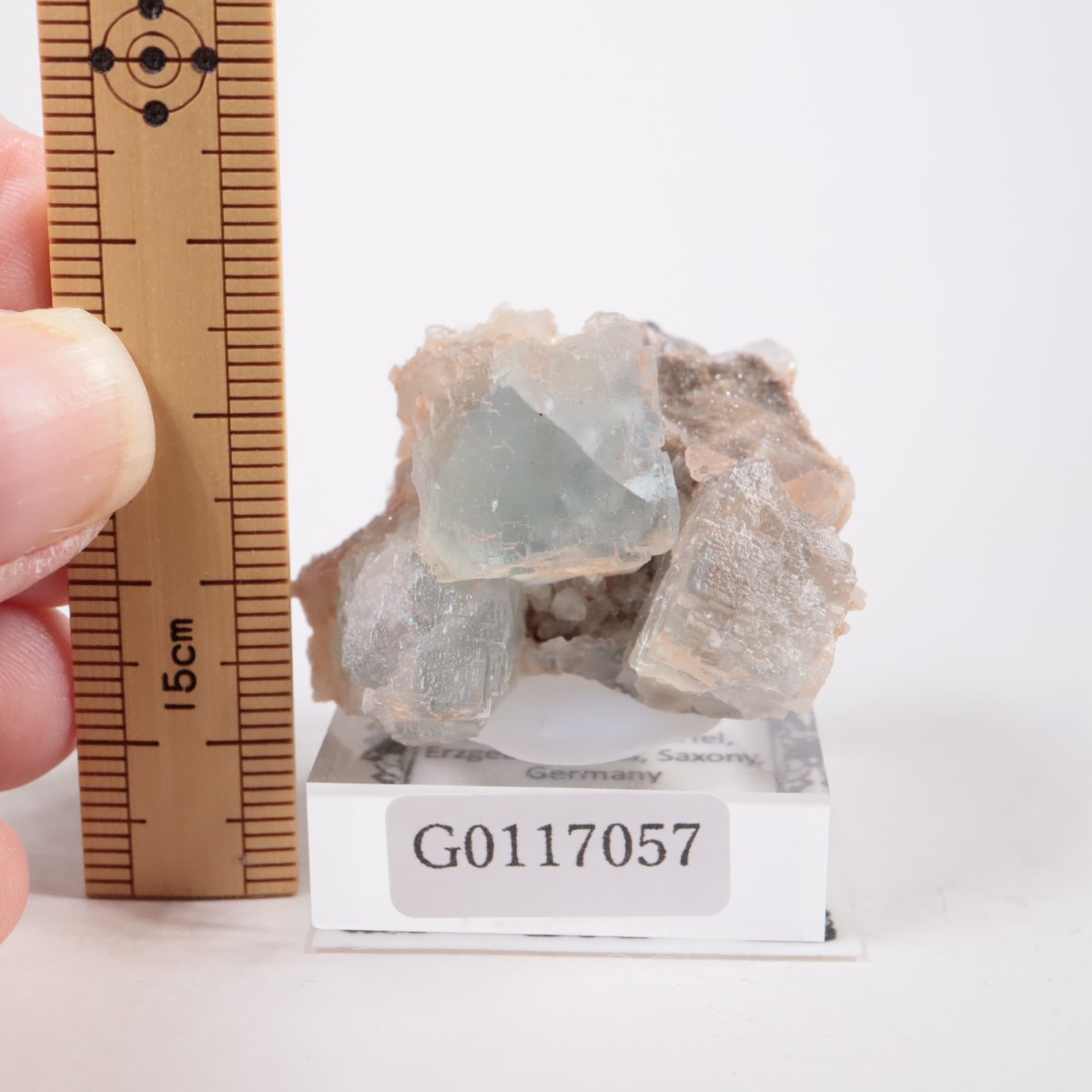 ドイツ産 フローライト | 鉱物標本,ハ行,フローライト/蛍石 | ほたるみ