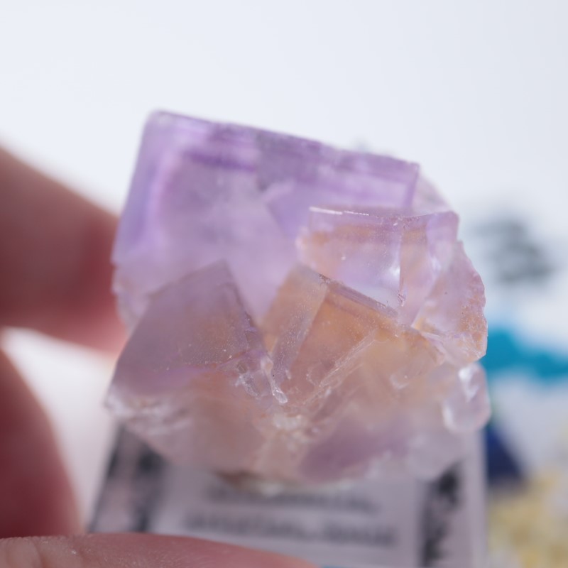 Berbes産 フローライト（蛍石） | 鉱物標本,ハ行,フローライト/蛍石