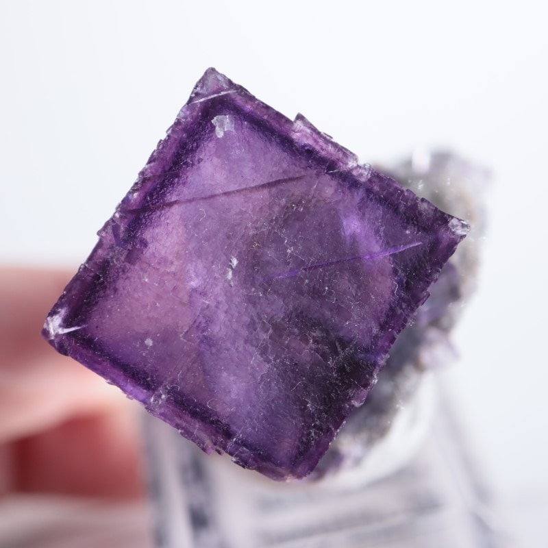 エルムウッド鉱山 フローライト | 鉱物標本,ハ行,フローライト/蛍石