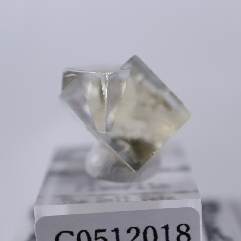 Bull Vein産 フローライト | 鉱物標本,ハ行,フローライト/蛍石,フロー