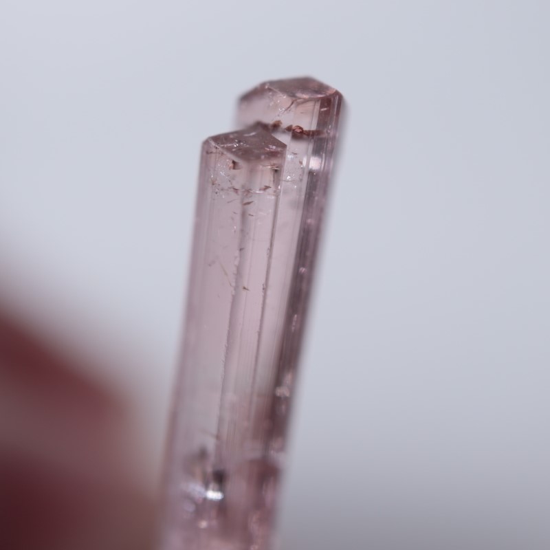 Paprok�����ȥ�ޥ��