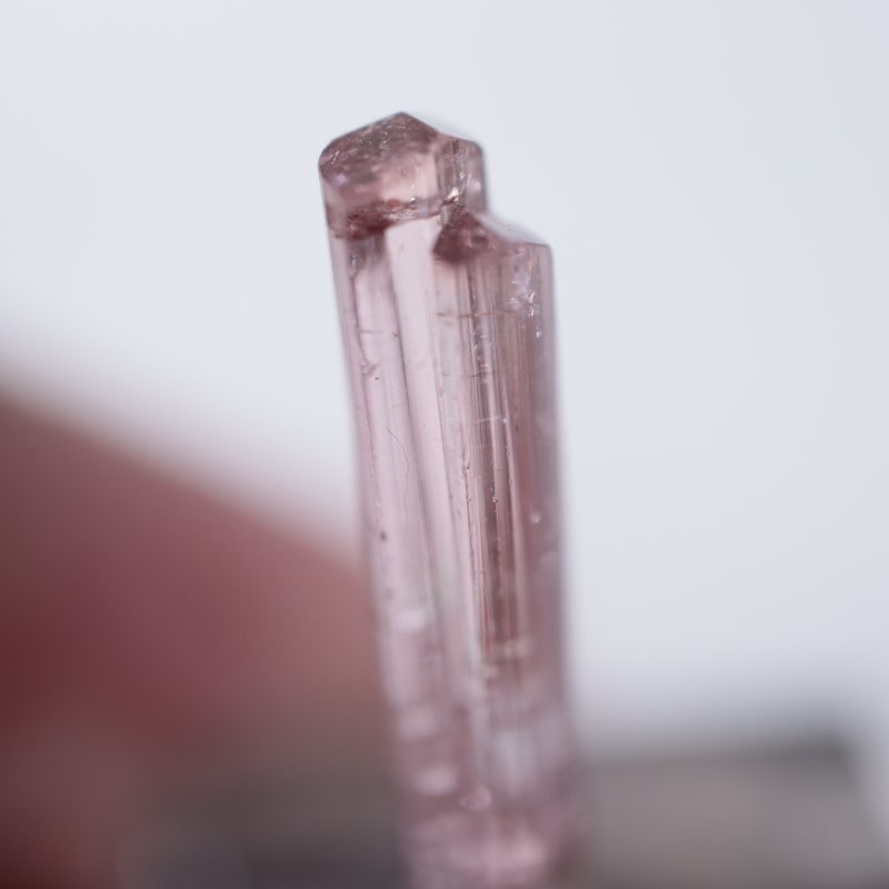 Paprok�����ȥ�ޥ��