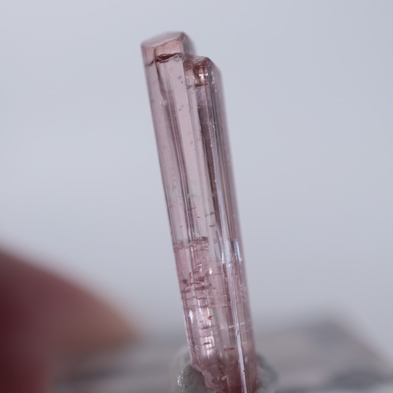 Paprok�����ȥ�ޥ��