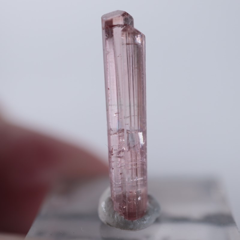 Paprok�����ȥ�ޥ��