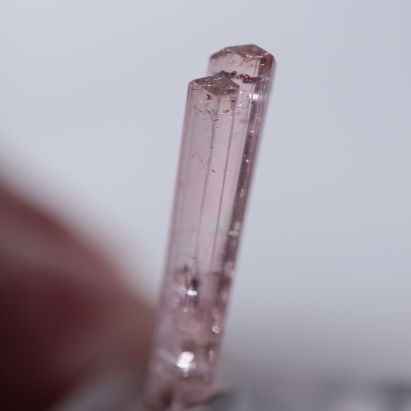 Paprok�����ȥ�ޥ��