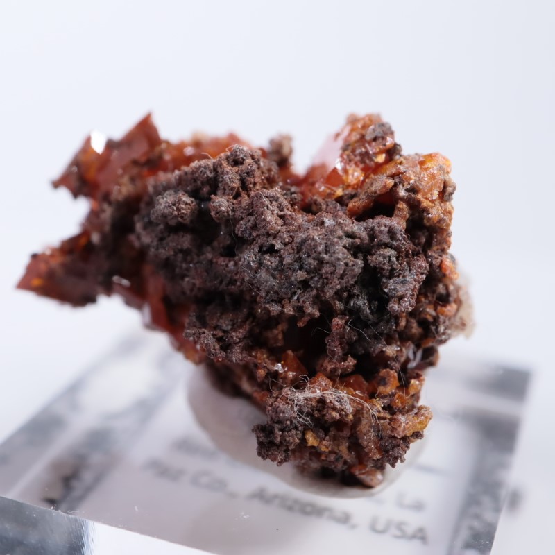 ��åɥ��饦�ɹۻ�������ե��ʥ���