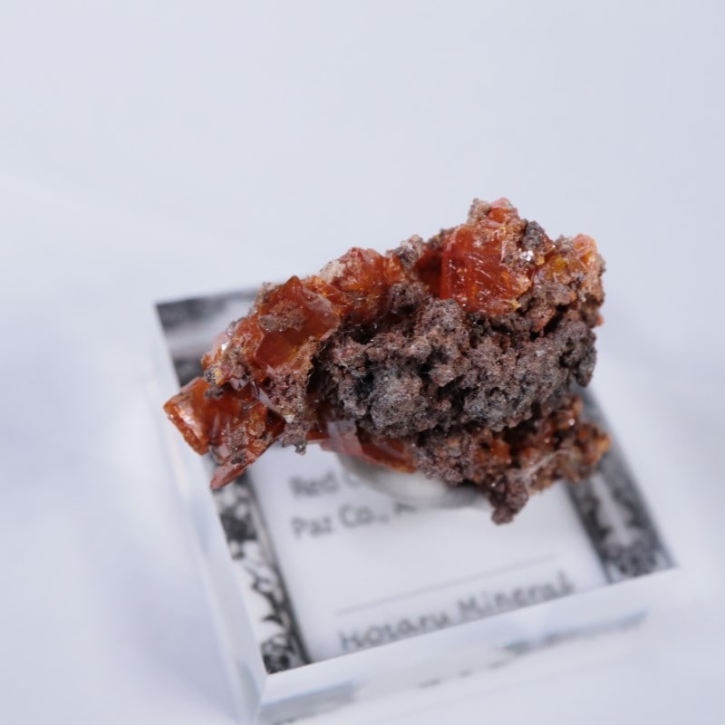 ��åɥ��饦�ɹۻ�������ե��ʥ���