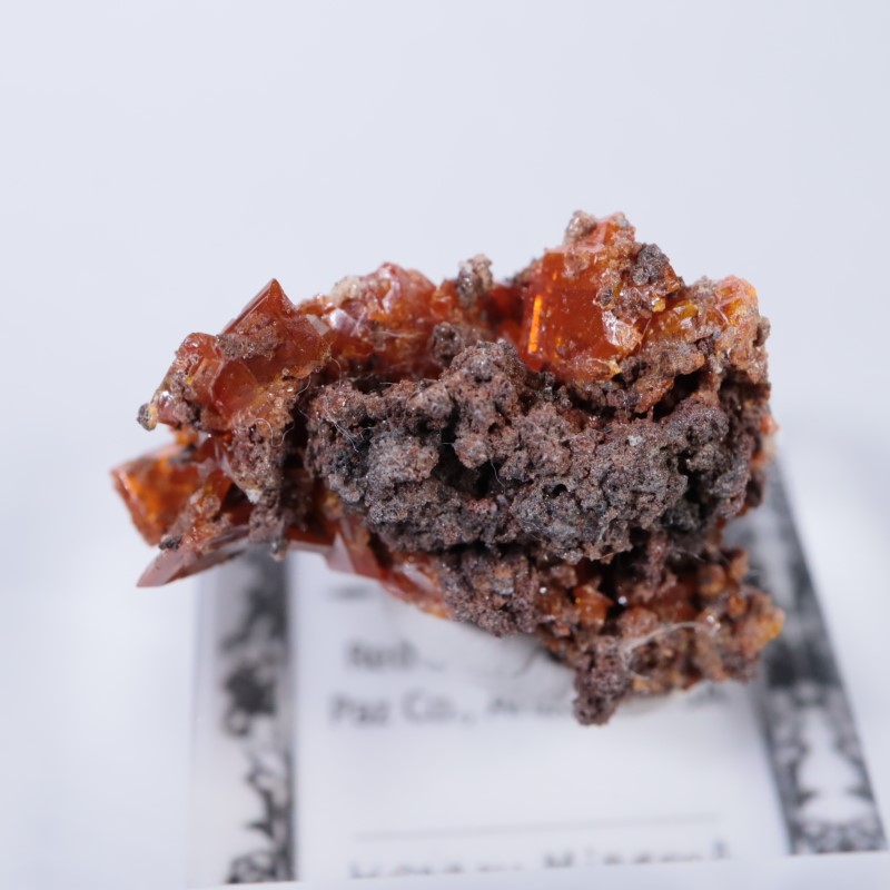 ��åɥ��饦�ɹۻ�������ե��ʥ���