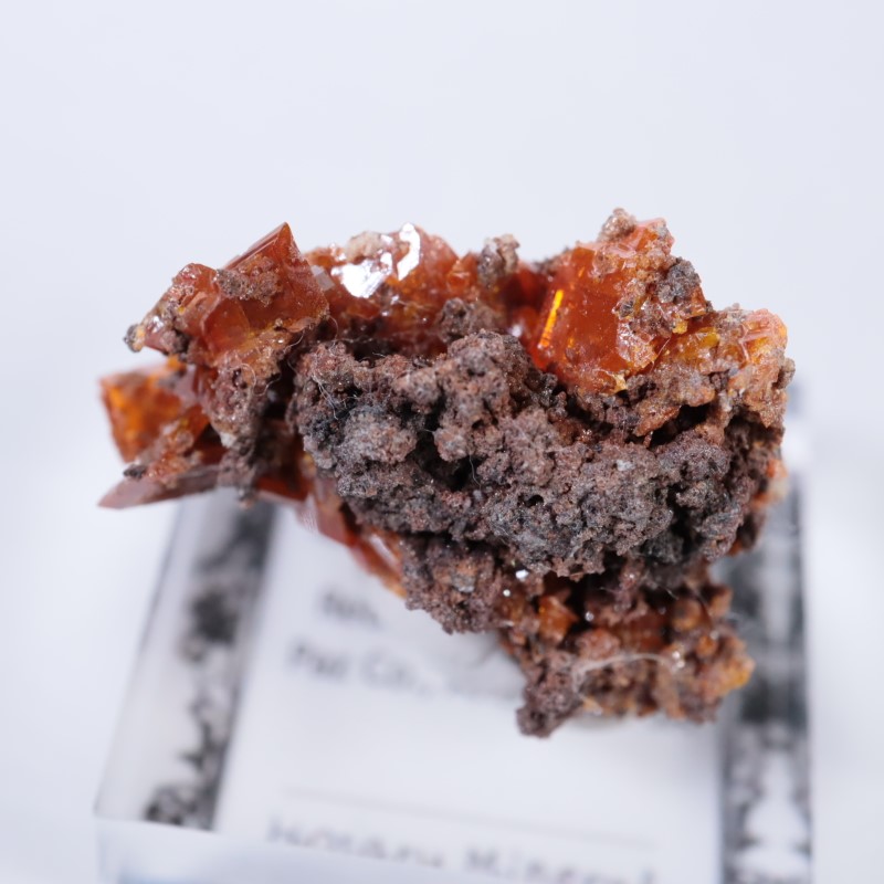 ��åɥ��饦�ɹۻ�������ե��ʥ���