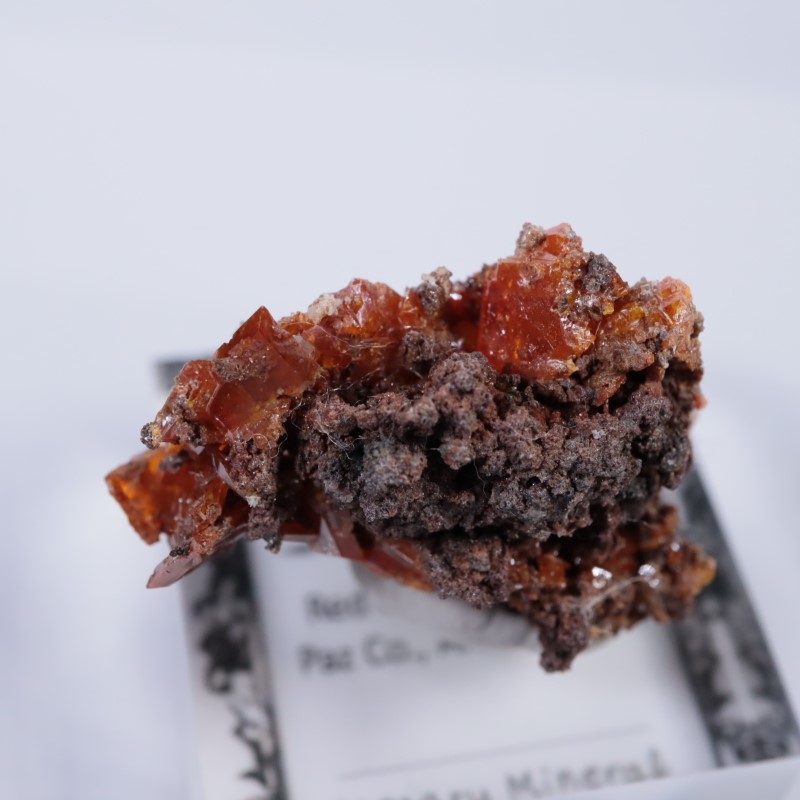 ��åɥ��饦�ɹۻ�������ե��ʥ���