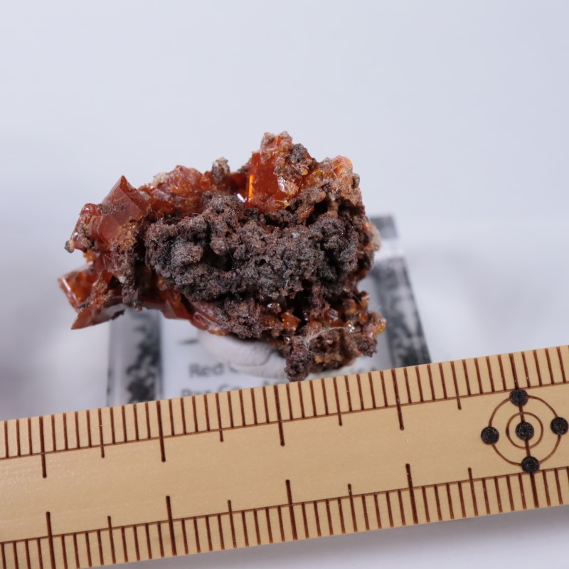 ��åɥ��饦�ɹۻ�������ե��ʥ���