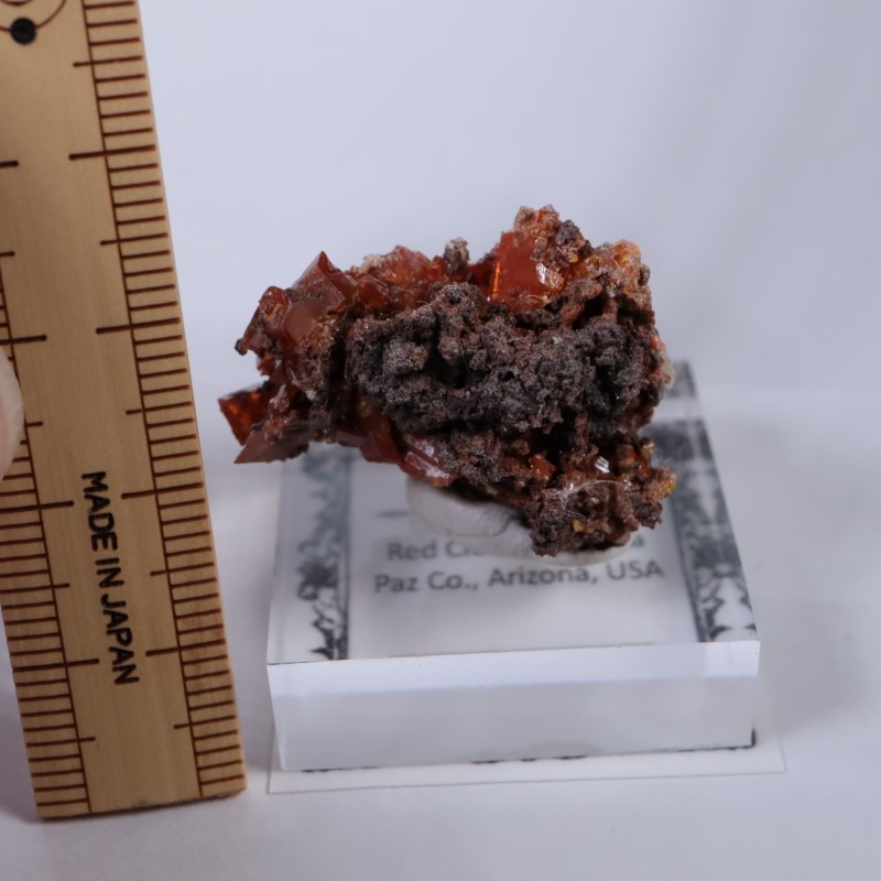 ��åɥ��饦�ɹۻ�������ե��ʥ���