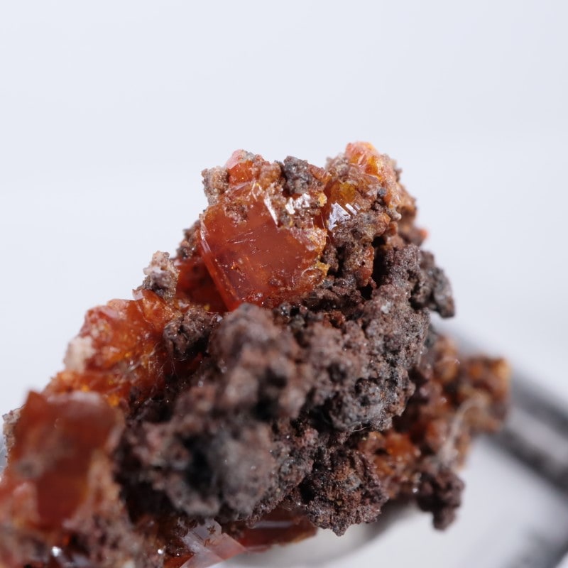 ��åɥ��饦�ɹۻ�������ե��ʥ���