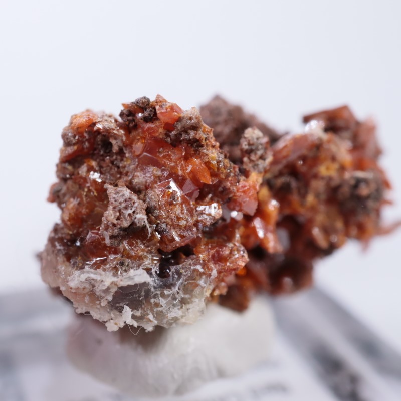 ��åɥ��饦�ɹۻ�������ե��ʥ���